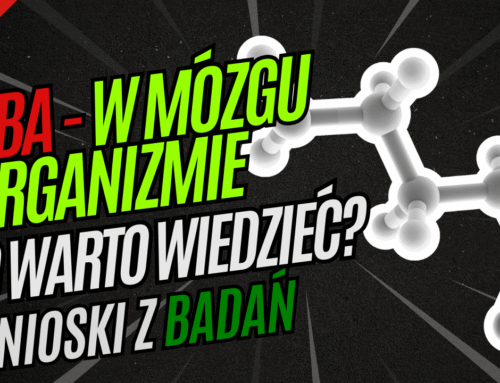 Rola GABA w mózgu i organizmie – wszystko co warto wiedzieć o GABA